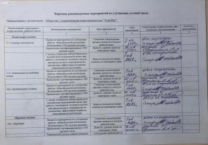 ООО АгроЛит Рубцовск. Фото 4